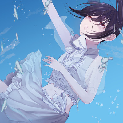 In the Diary Front Cover