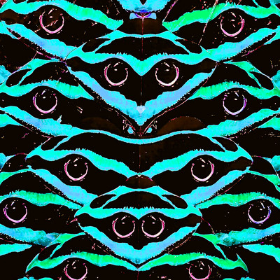 MAVOIST Front Cover