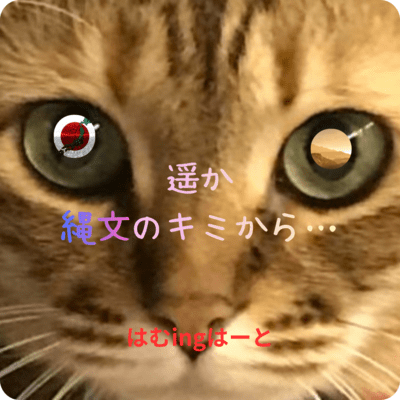 遥か縄文のキミから…のジャケット写真