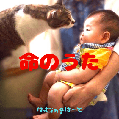 song of the Soul's Life Front Cover