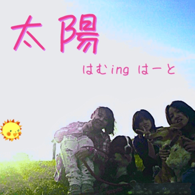 太陽のジャケット写真
