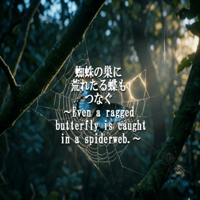 Even a ragged butterfly is caught in a spiderweb. (arrangement) Front Cover