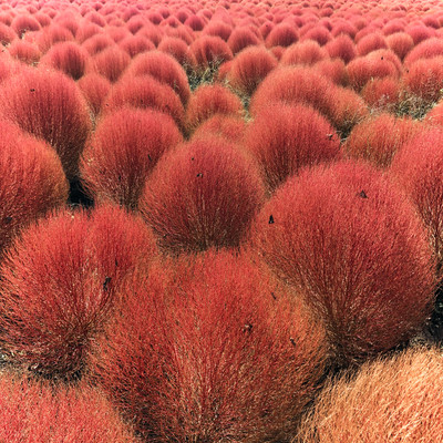 World Instruments Meets West Through the Far East Front Cover