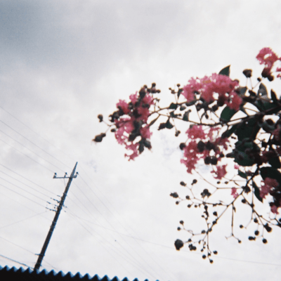Musical Instruments of the World Front Cover
