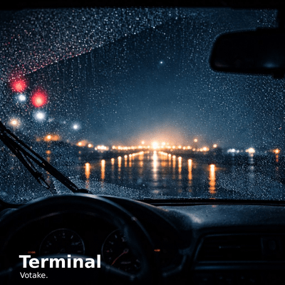 Terminalのジャケット写真