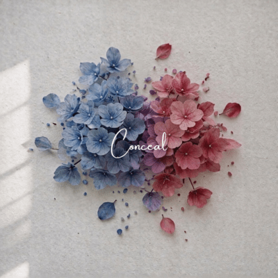 Conceal Front Cover