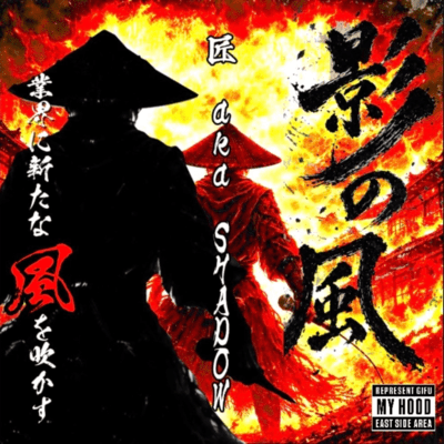 Wind of Shadow Front Cover