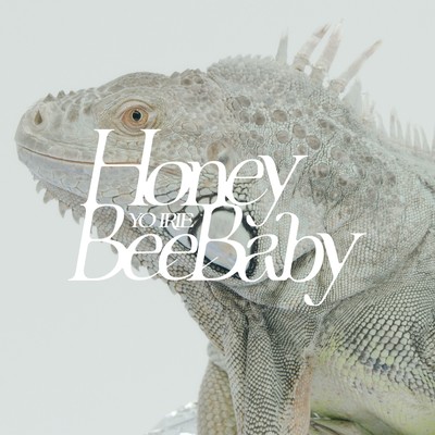 Honey Bee Baby Front Cover