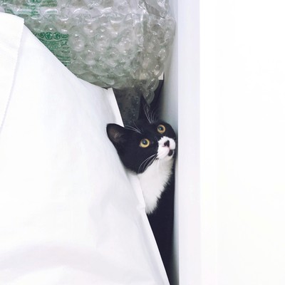 すきまのジャケット写真