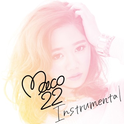 22 (Instrumental) Front Cover