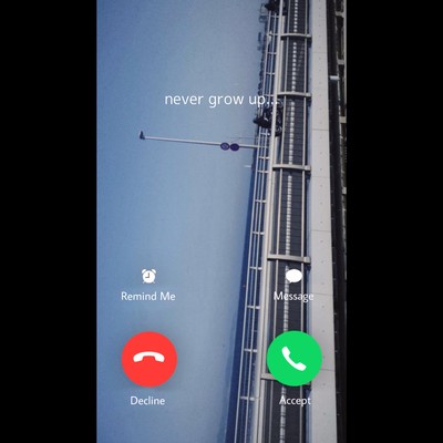 Never Grow Up... Front Cover