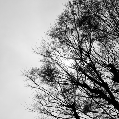 晴間 (feat. 初音ミク)のジャケット写真
