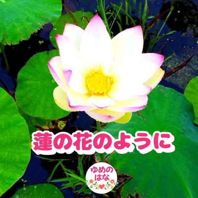 Like a lotus flower Front Cover