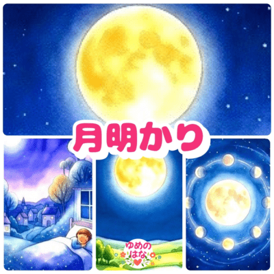 moonlight Front Cover
