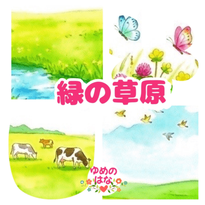 green grassy field Front Cover