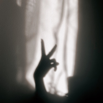 Orange Separate Front Cover