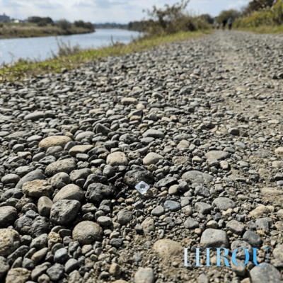 You're in my heart, always Front Cover