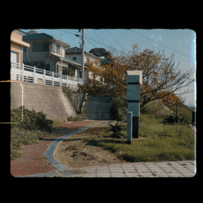 白昼夢のジャケット写真