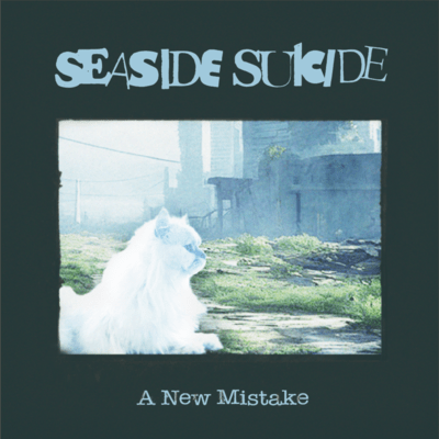 A New Mistake Front Cover