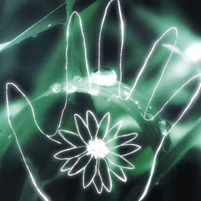 Memory Flower (feat. -shibaken-) Front Cover