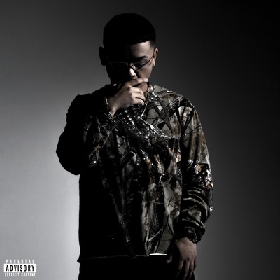 The Biographyのジャケット写真