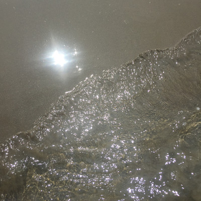 Maiden Voyageのジャケット写真