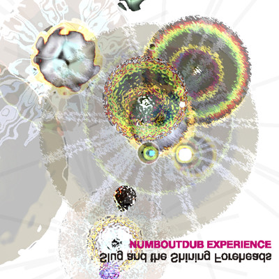 Slug and the Shining Foreheadsのジャケット写真