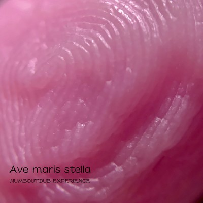 Ave maris stellaのジャケット写真