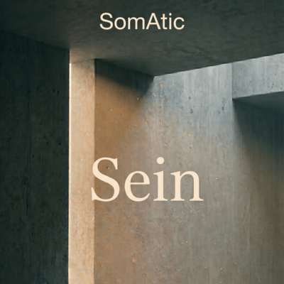 Sein Front Cover