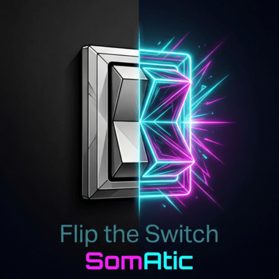Flip the Switch (Groove Switch Version) Front Cover