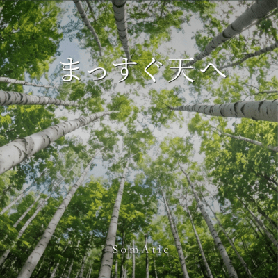 Reach for the Sky Front Cover