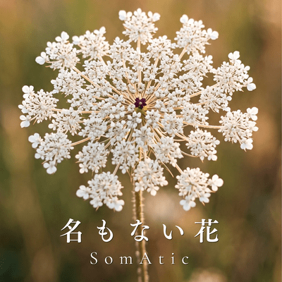 Nameless Flower Front Cover
