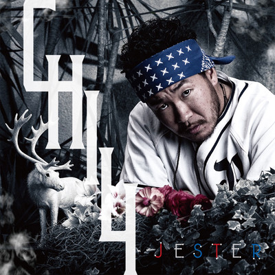JESTER Front Cover