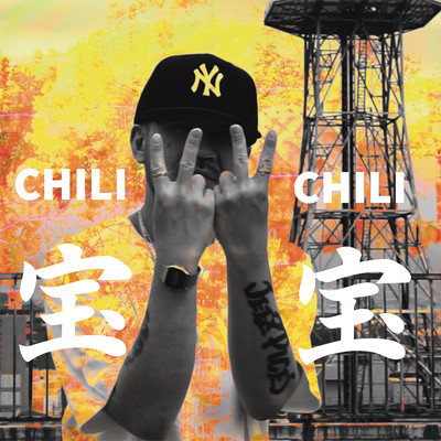 宝のジャケット写真