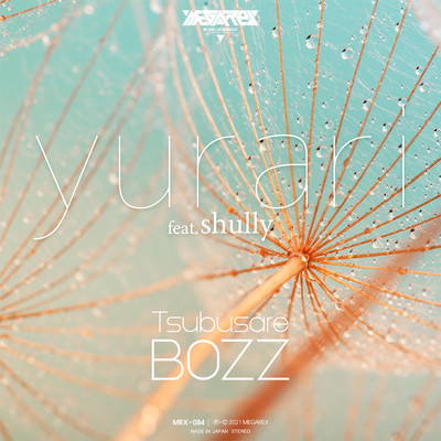 yurari (feat. shully) Front Cover
