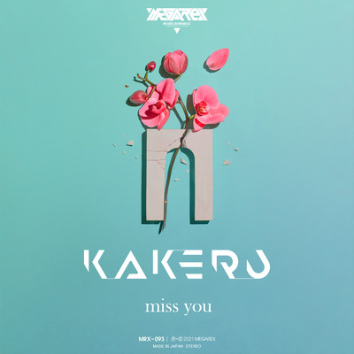 miss you Front Cover