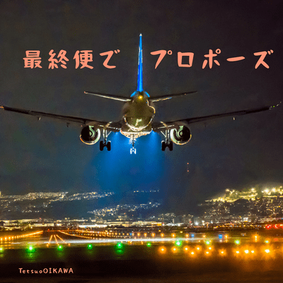 The Last Flight to You Front Cover