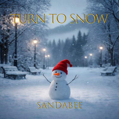 Turn to Snow Front Cover