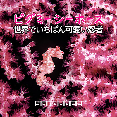 The Pygmy Seahorse - The World's Cutest Ninja Front Cover