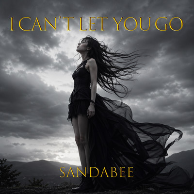 I Can't Let You Go Front Cover
