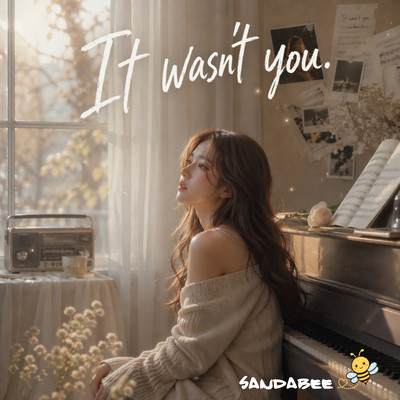 It wasn't you Front Cover