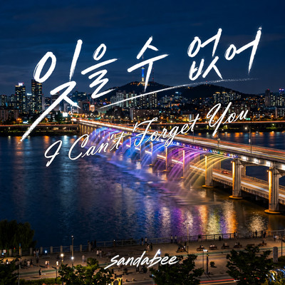 I Can't Forget You Front Cover