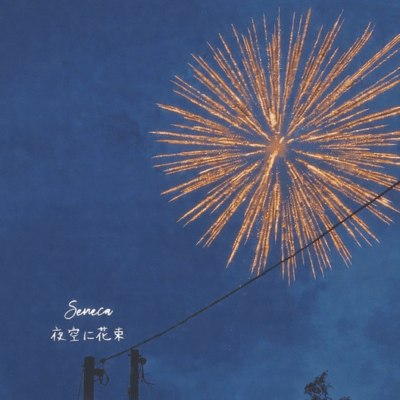 A Bouquet in the Night Sky Front Cover