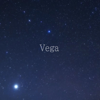 Vegaのジャケット写真