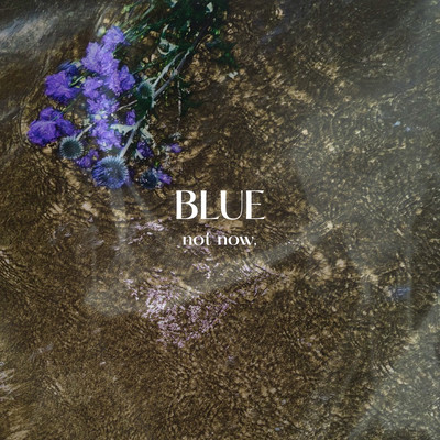 BLUE Front Cover