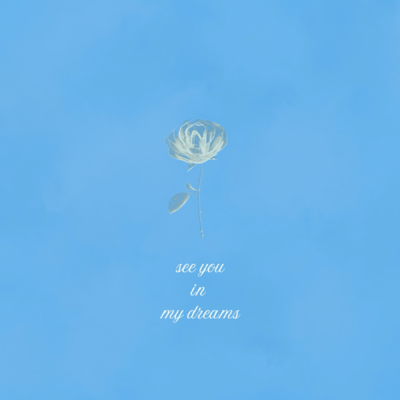 see you in my dreamsのジャケット写真