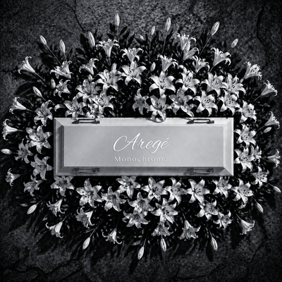 Monochrome Front Cover