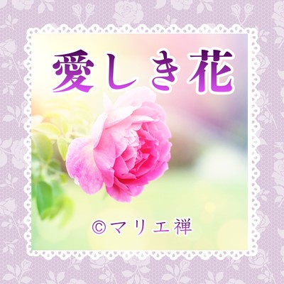 The Beloved Flower (Poetry Reading Version) Front Cover