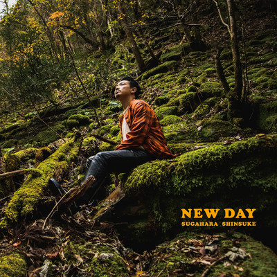 NEW DAYのジャケット写真