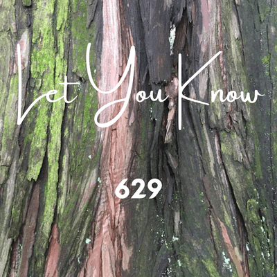 Let You Know Front Cover